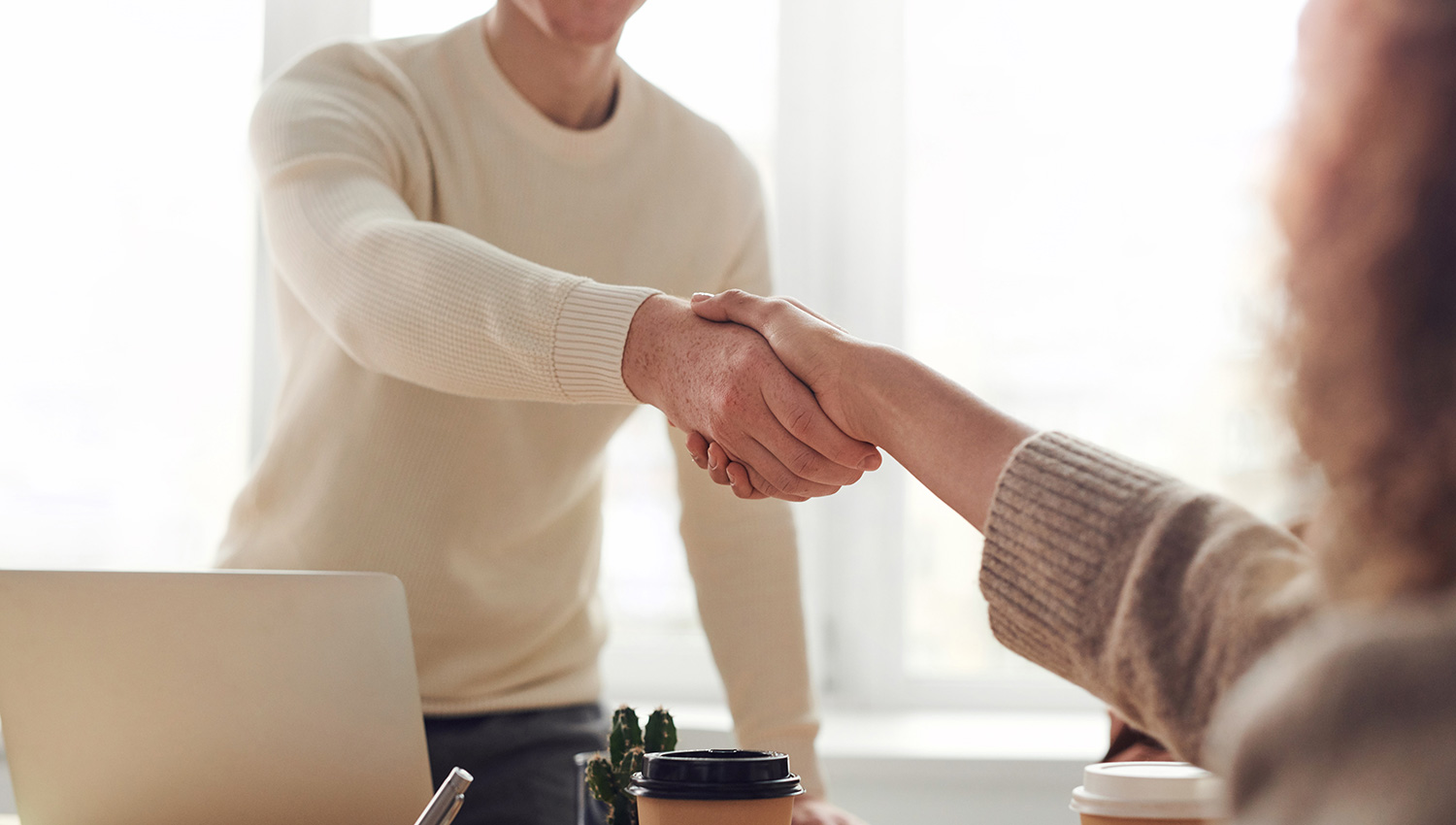 Business partners shaking hands